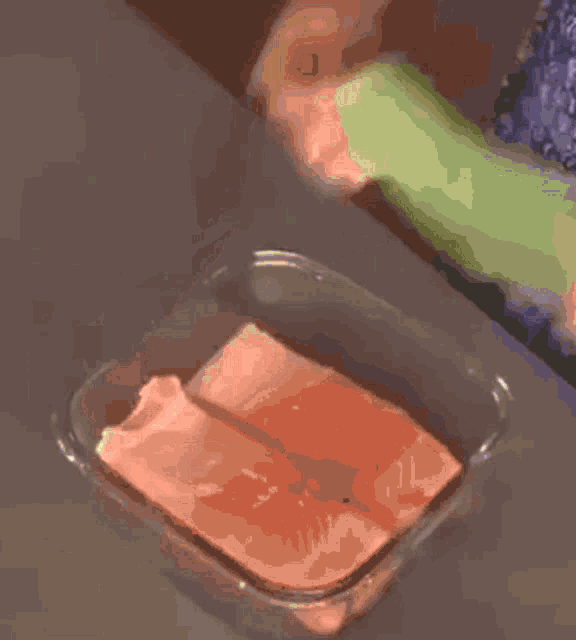 Food Cover GIF - Food Cover Leftover GIFs