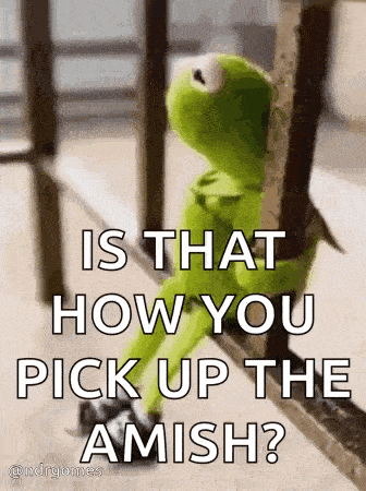 kermit the frog is sitting on a railing and asking how you pick up the amish ?