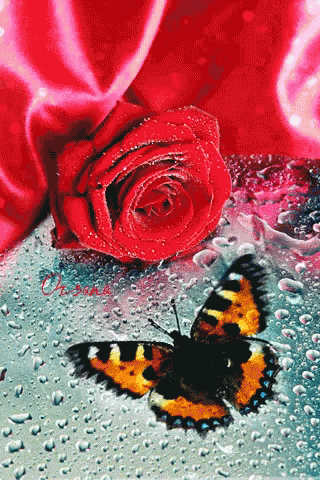 Butterfly Red GIF - Butterfly Red Rose GIFs