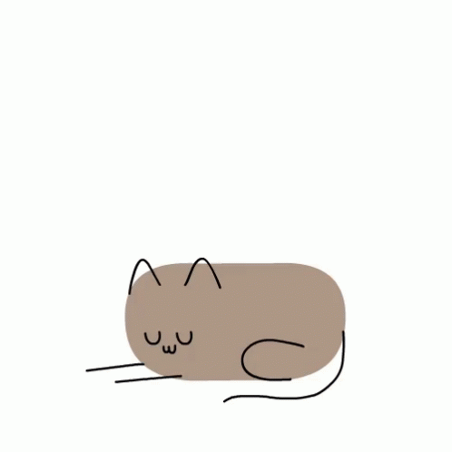 Cat Snuggle GIF - Cat Snuggle Cute GIFs