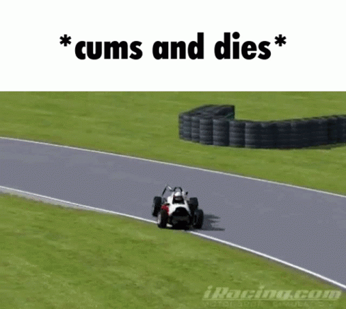 Racecar Meme GIF - Racecar Meme GIFs