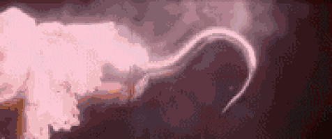 a close up of a hook with smoke coming out of it in the dark .