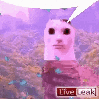 a cartoon character with a speech bubble that says `` live leak '' on it .