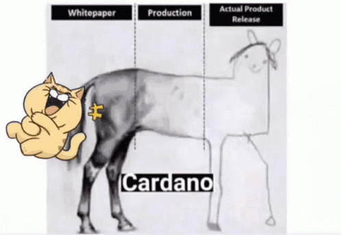 Cardano GIF - Cardano GIFs