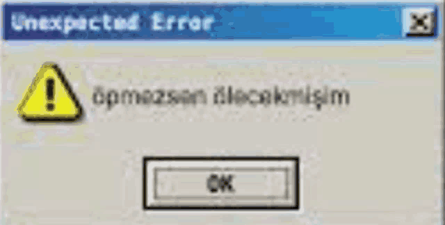 a computer screen with an unexpected error message and an ok button .