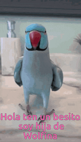 a blue parrot with a red beak is standing on its hind legs