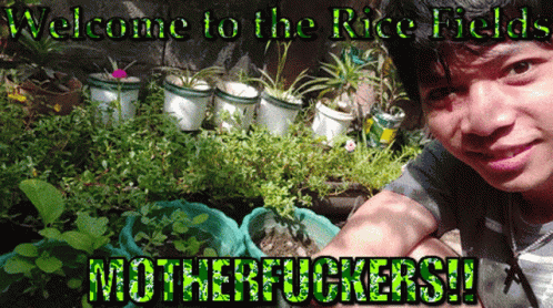 Wcrf Crisfield GIF - Wcrf Crisfield Welcome To The Ricefields GIFs