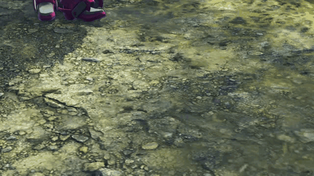 a pair of red shoes standing on a rocky ground