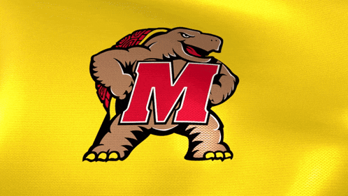 a cartoon turtle with the letter m on its back