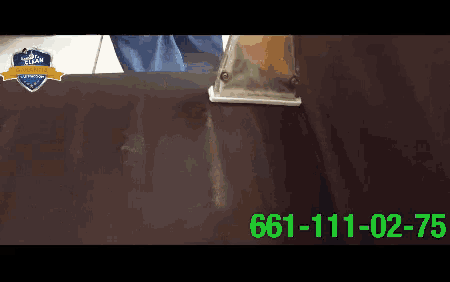a person is using a machine to clean a couch and the phone number is 661-11-02-753