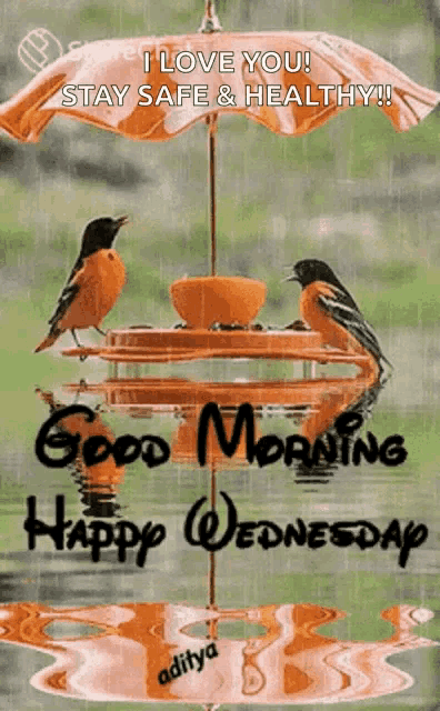 a couple of birds sitting on top of a bird feeder with the words " good morning happy wednesday "