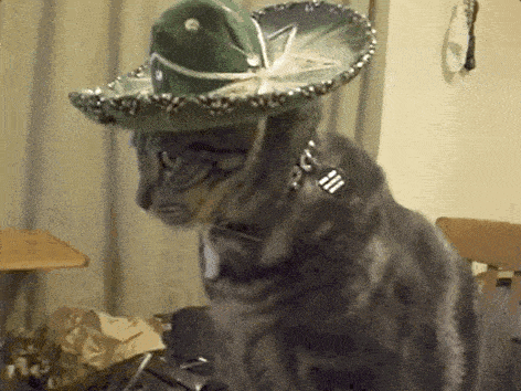 a cat wearing a sombrero and a collar with a fork on it