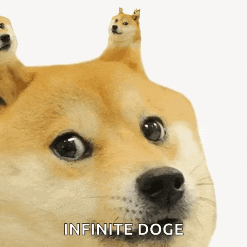 a close up of a dog with the words infinite doge written on the bottom