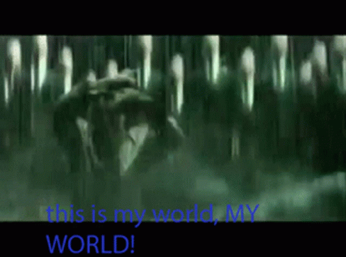 Anderson Matrix This Is My World GIF - Anderson Matrix This Is My World GIFs