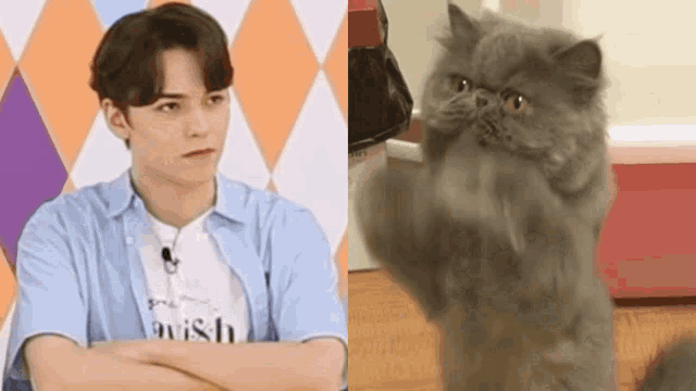a man and a cat are sitting next to each other . the cat is standing on its hind legs and looking at the camera .