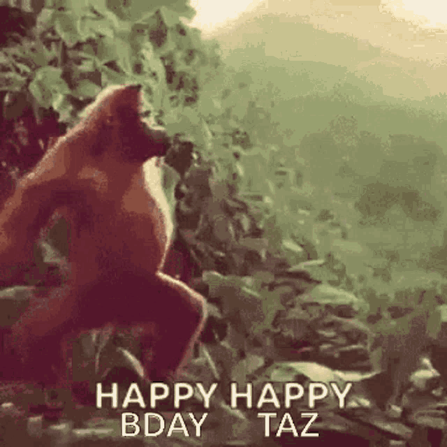 a monkey is jumping in the air with the words happy happy bday taz written below it