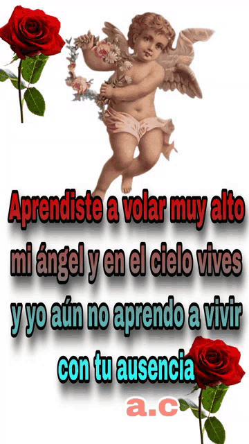 a picture of a cherub with the words " aprendiste a volar muy alto "