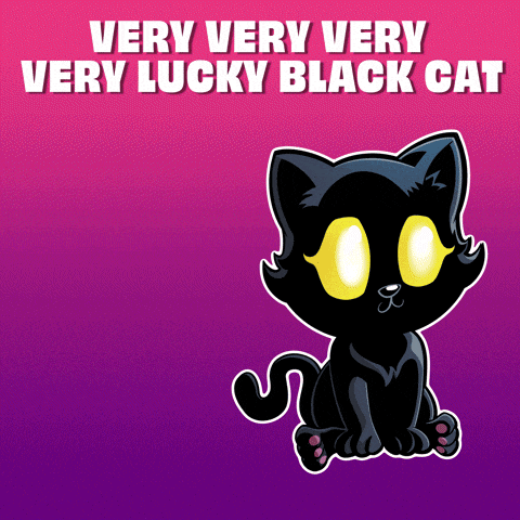 a very very very lucky black cat on a purple background