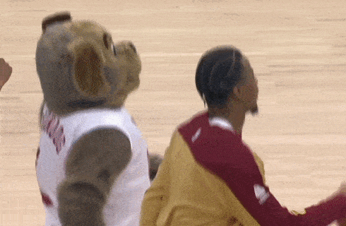 a mascot wearing a jersey that says ' hawks ' on it sits next to a basketball player