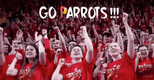 Picky Parrots Pickyparrot GIF - Picky Parrots Pickyparrot GIFs