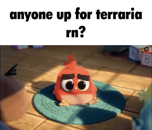 a cartoon angry bird is sitting on a rug with the words " anyone up for terraria rn " above it