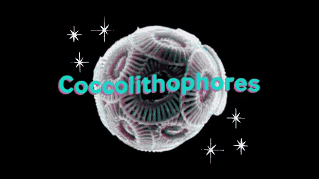 Coccolithophores Nannoplankton GIF - Coccolithophores Nannoplankton Phytoplankton GIFs