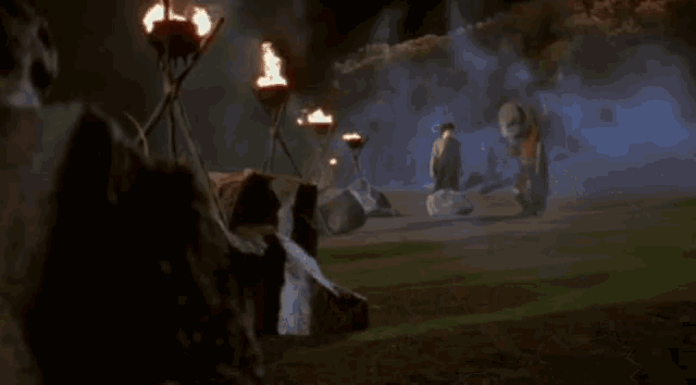 a group of people are standing in a field with torches in the foreground