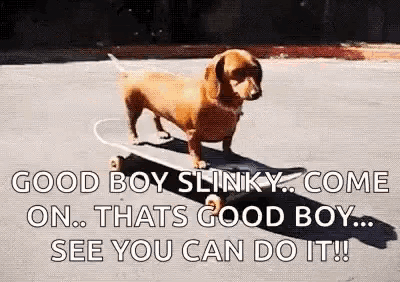 a dachshund is riding a skateboard on a street with a caption that says good boy slinky