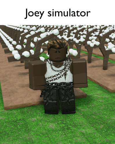 a cartoon character with the name joey simulator on the top