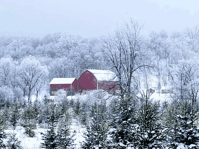 a snowy landscape with a red barn in the foreground