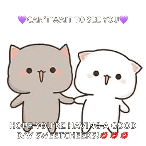 a couple of cats holding hands with the words `` can 't wait to see you '' above them