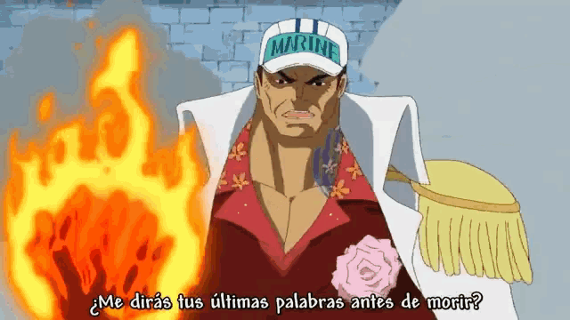 Akainu One Piece GIF - Akainu One Piece Fight GIFs