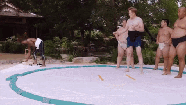 a group of sumo wrestlers are in a ring