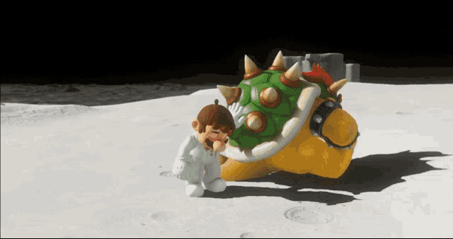 a video game character is kneeling next to a turtle