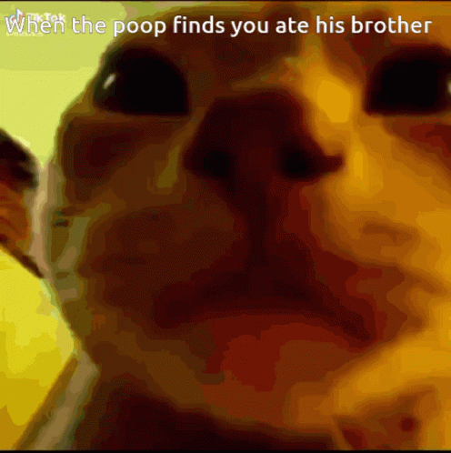 When The Poop Finds You Ate His Brother Car GIF - When The Poop Finds You Ate His Brother Car Serious GIFs