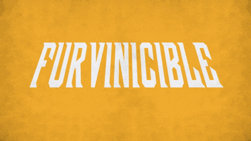 a poster that says firvincible on it