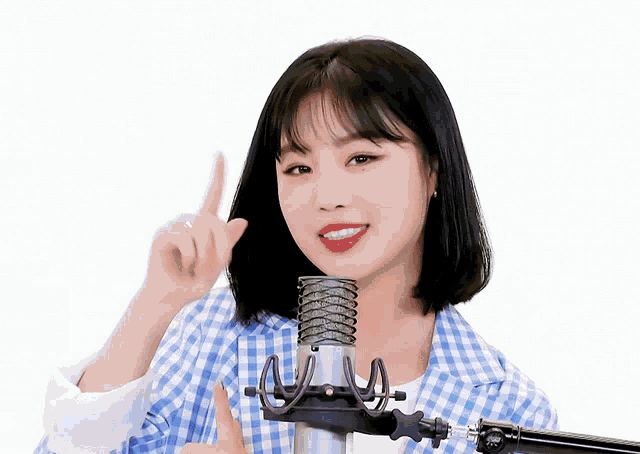 a woman in a blue and white plaid shirt is standing in front of a microphone