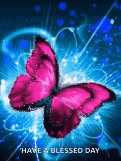a pink butterfly on a blue background with the words `` have a blessed day '' .
