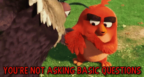 You'Re Not Asking Basic Questions GIF - Angry Birds Movie Annoyed Angry GIFs