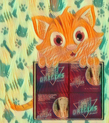 a box of small business origins with a cat behind it