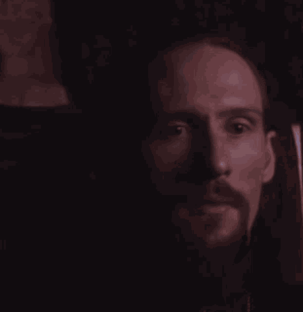 a man with a beard is drinking a glass of wine in a dark room .