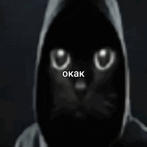 a black cat wearing a hooded jacket with the word okak above it