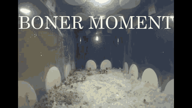 a picture of a room with the words boner moment written on it