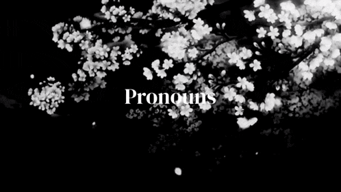 a black and white photo of a tree with flowers and the word pronouns