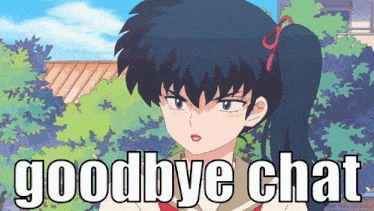 a picture of a girl with a ponytail and the words goodbye chat