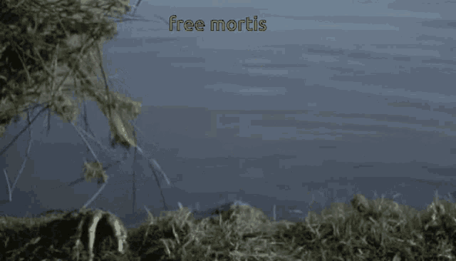 a swamp monster is crawling out of the water with the words free mortis above it