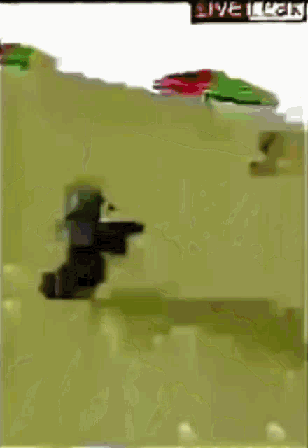 a video of a person holding a gun in the sand with the words live leak on the bottom right