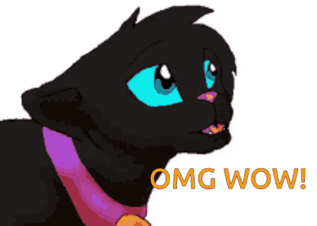 a black cat with blue eyes and the words " omg wow " below it