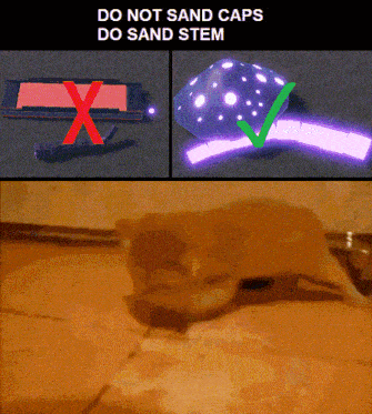 a poster that says do not sand caps do sand stem and a picture of a cat