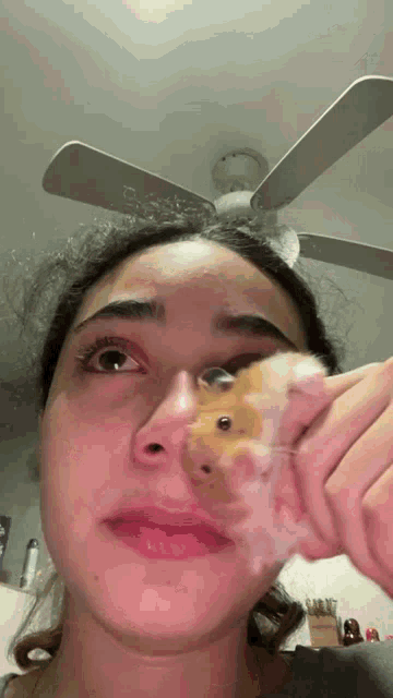 Tissue Pet Hamster GIF - Tissue Pet Hamster Crying Hamster GIFs
